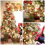 My Christmas Trees