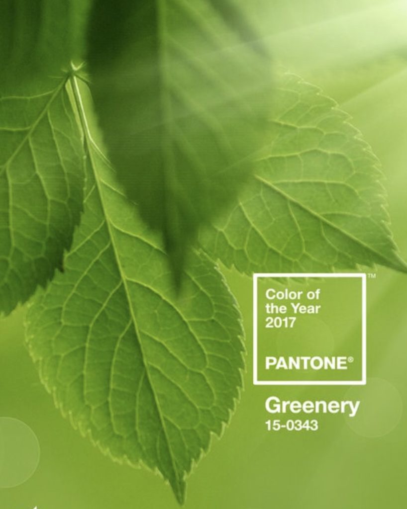 Pantone's 2017 color of the year is Greenery. www.jennelyinteriors.com