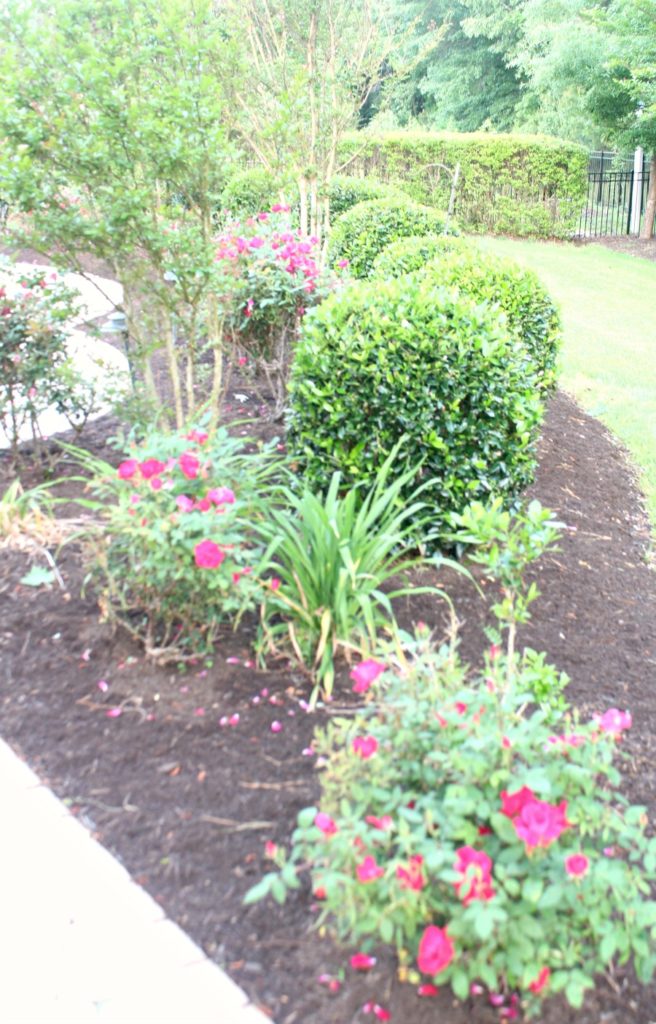 Trimming your hedges and putting down mulch will help spruce up your yard.